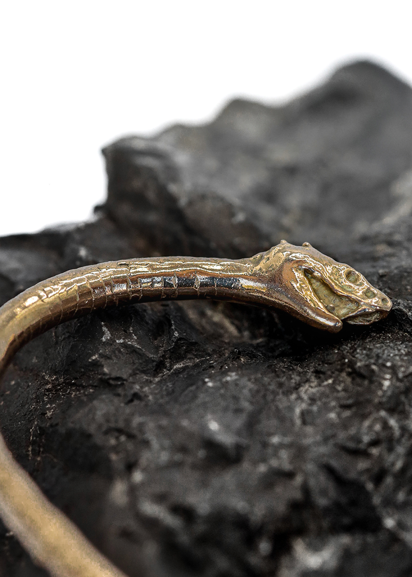 Bronze Double Serpent Bangle