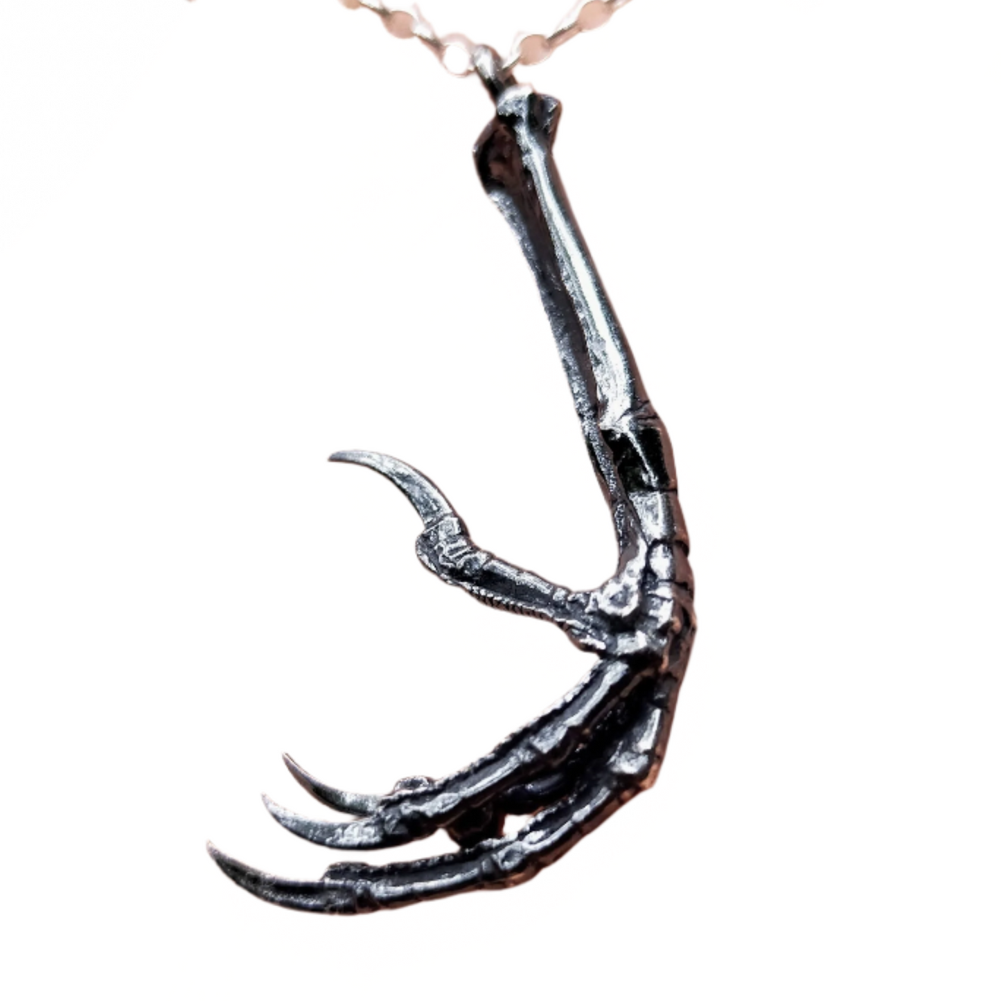 Silver Blackbird Claw Pendant