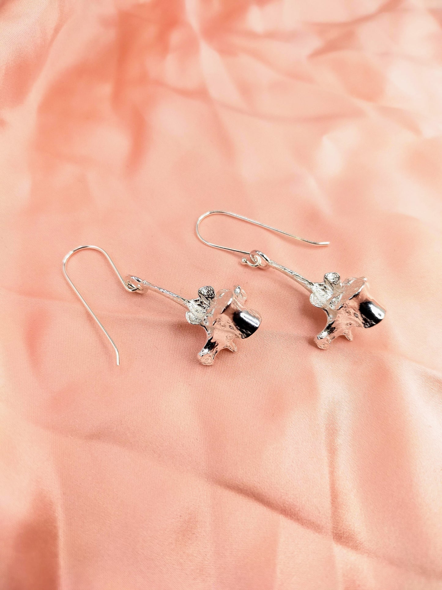 Silver Vertebra Earrings