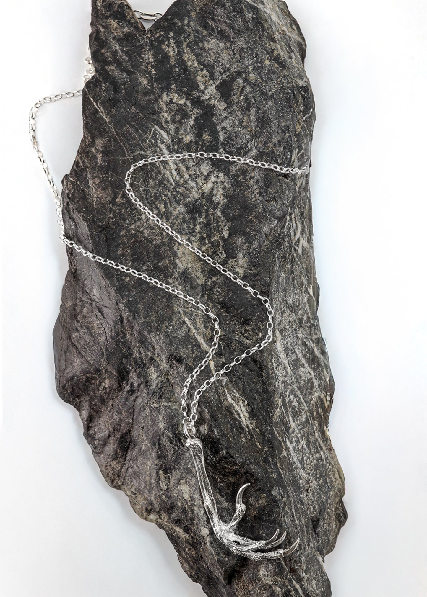 Silver Blackbird Claw Pendant