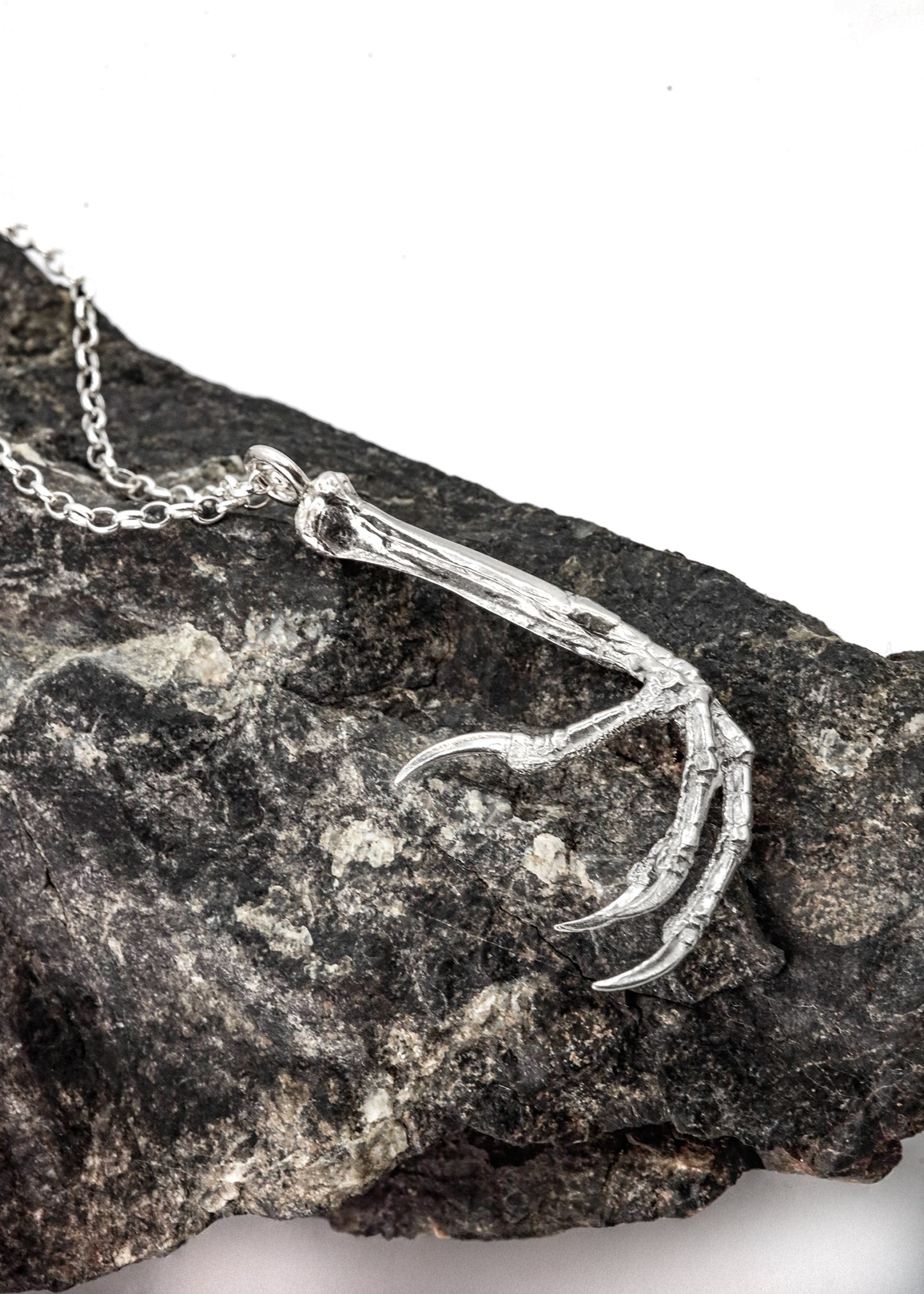 Silver Blackbird Claw Pendant