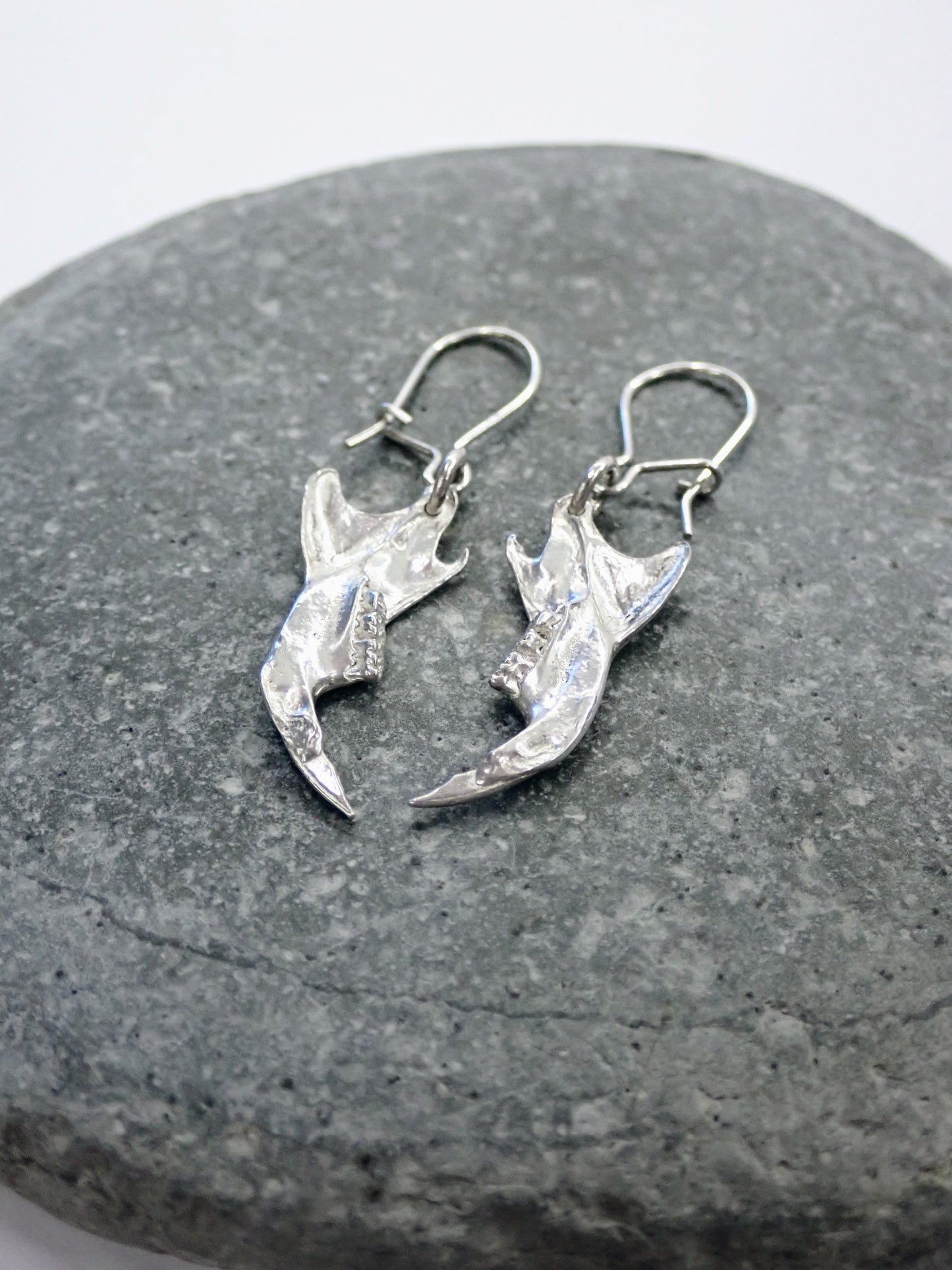 Silver Rat Jawbone Earrings