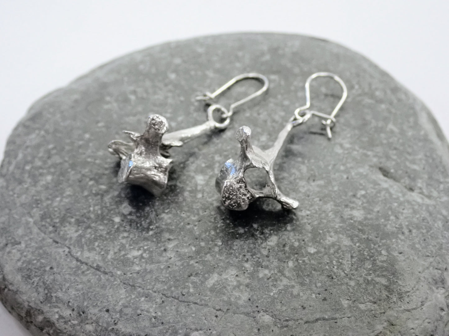 Silver Vertebra Earrings