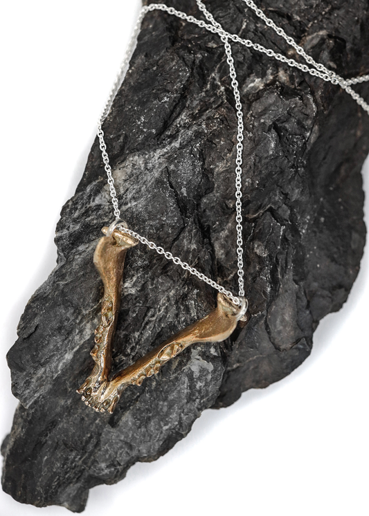 Bronze Cat Jaw Pendant