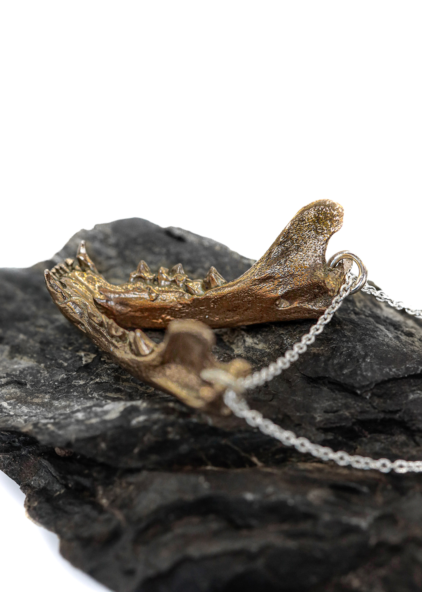 Bronze Cat Jaw Pendant
