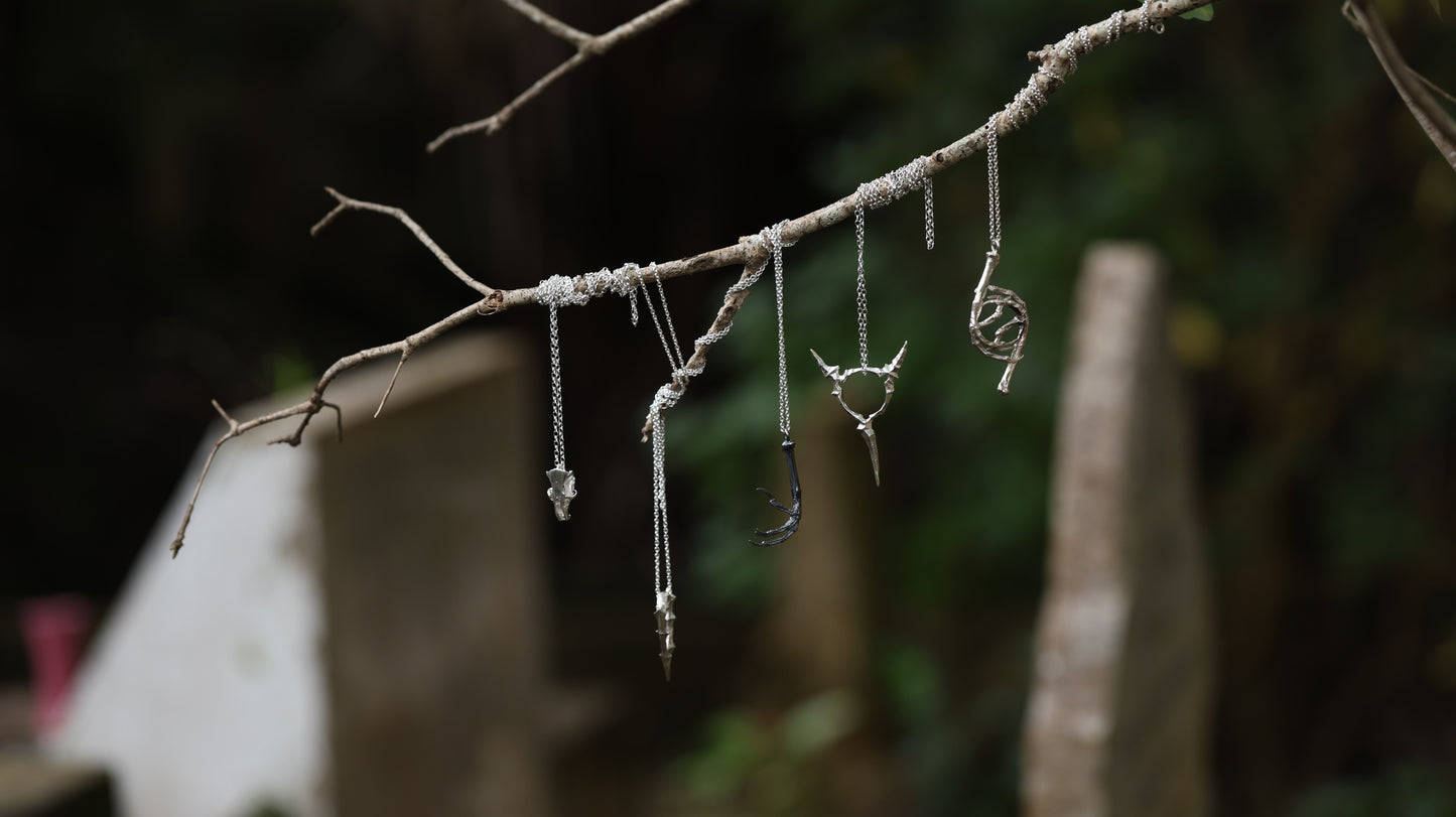 ✨PREORDER✨Silver Blackbird Claw Vortex Pendant