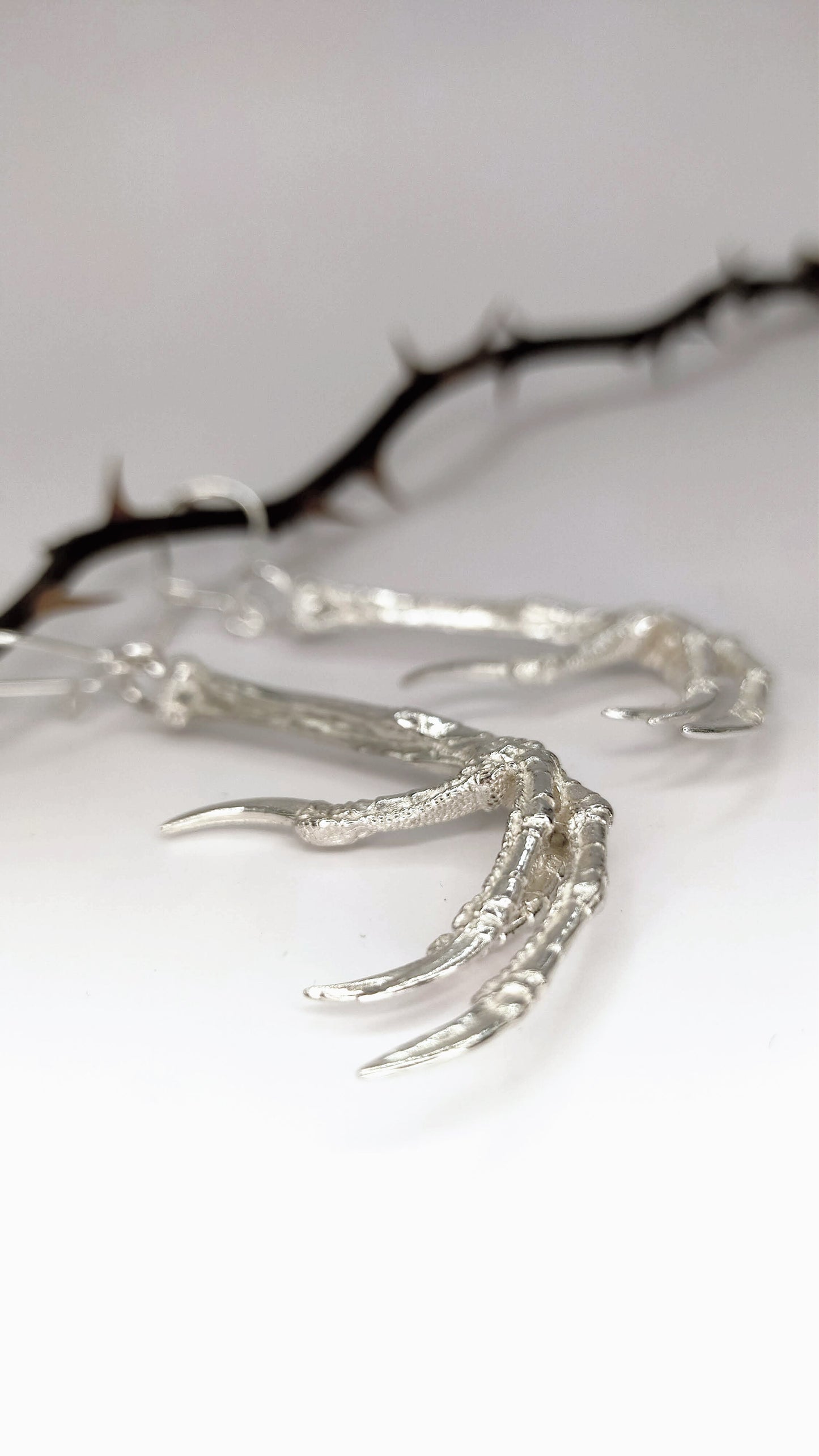 Silver Blackbird Claw Earrings