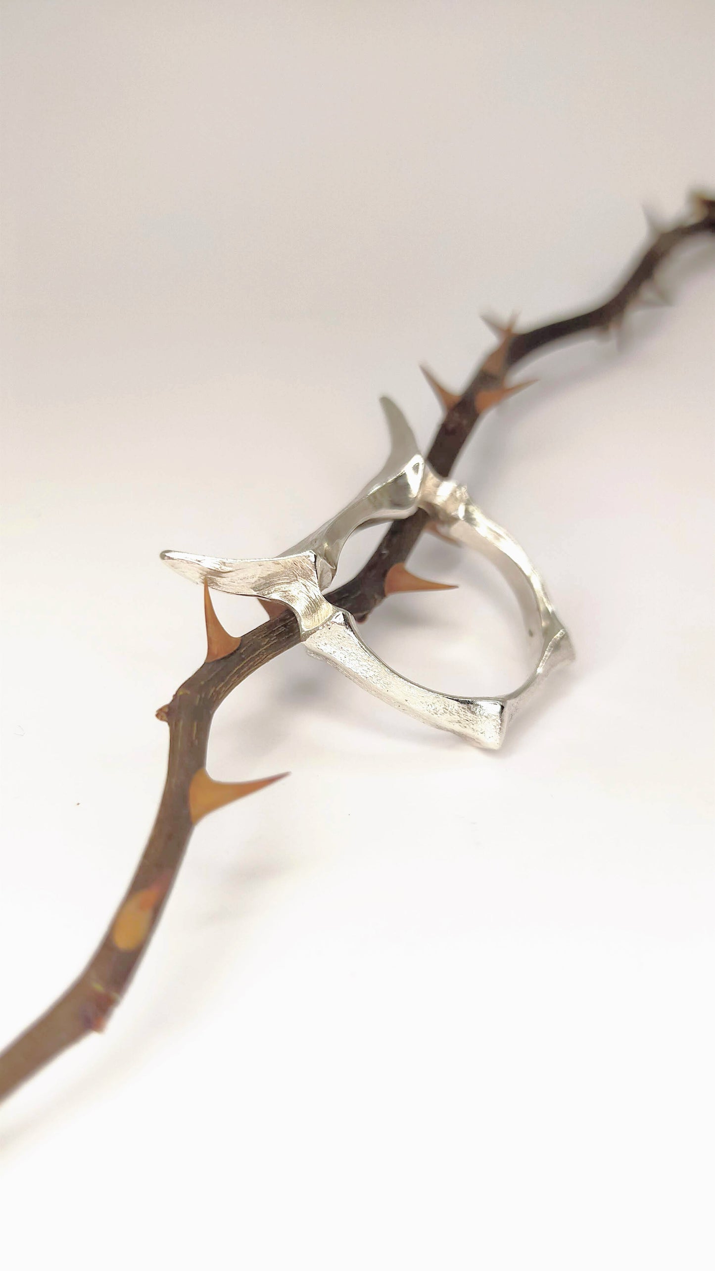 Silver Horns Ring