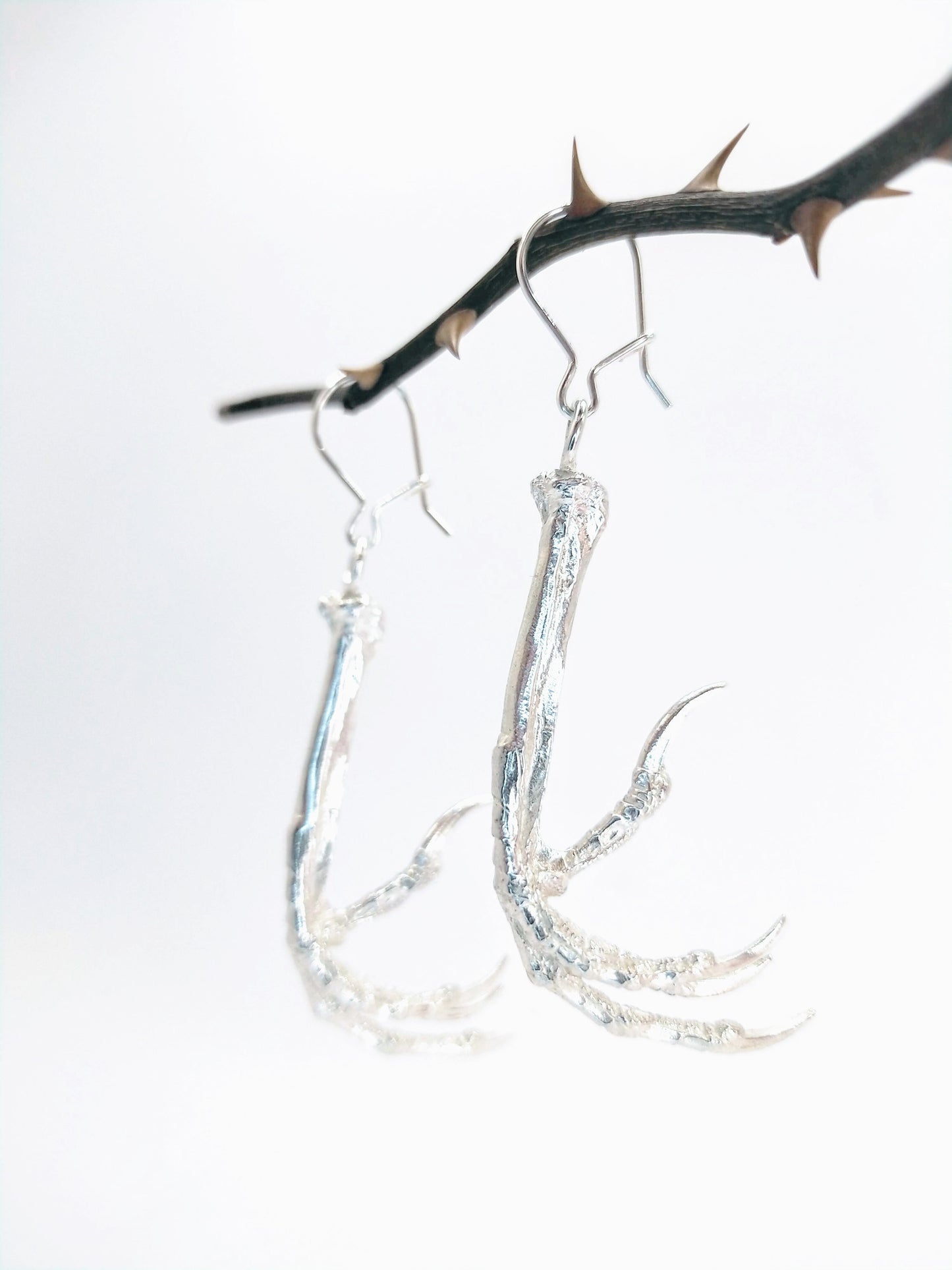 Silver Blackbird Claw Earrings