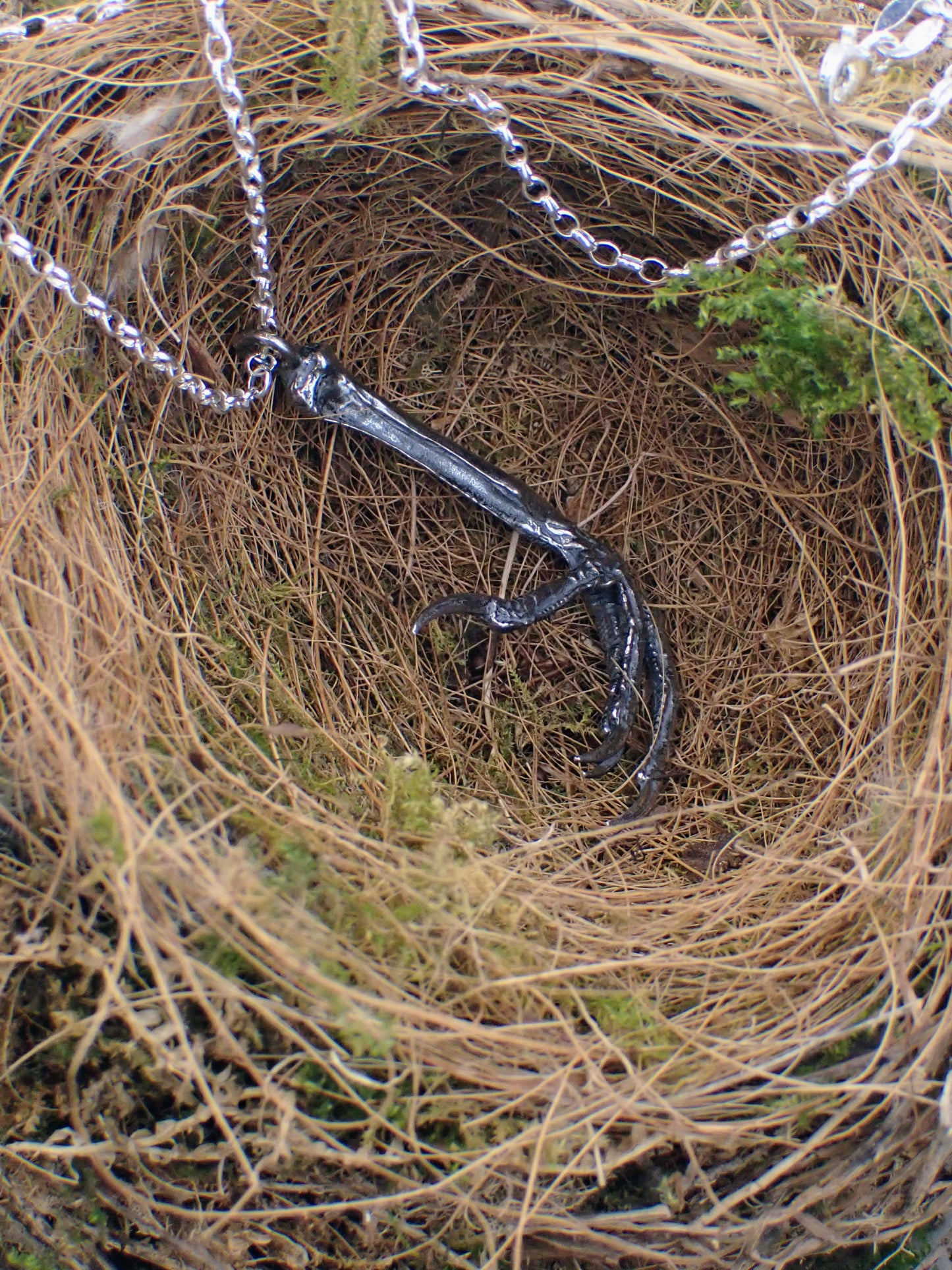 Silver Blackbird Claw Pendant