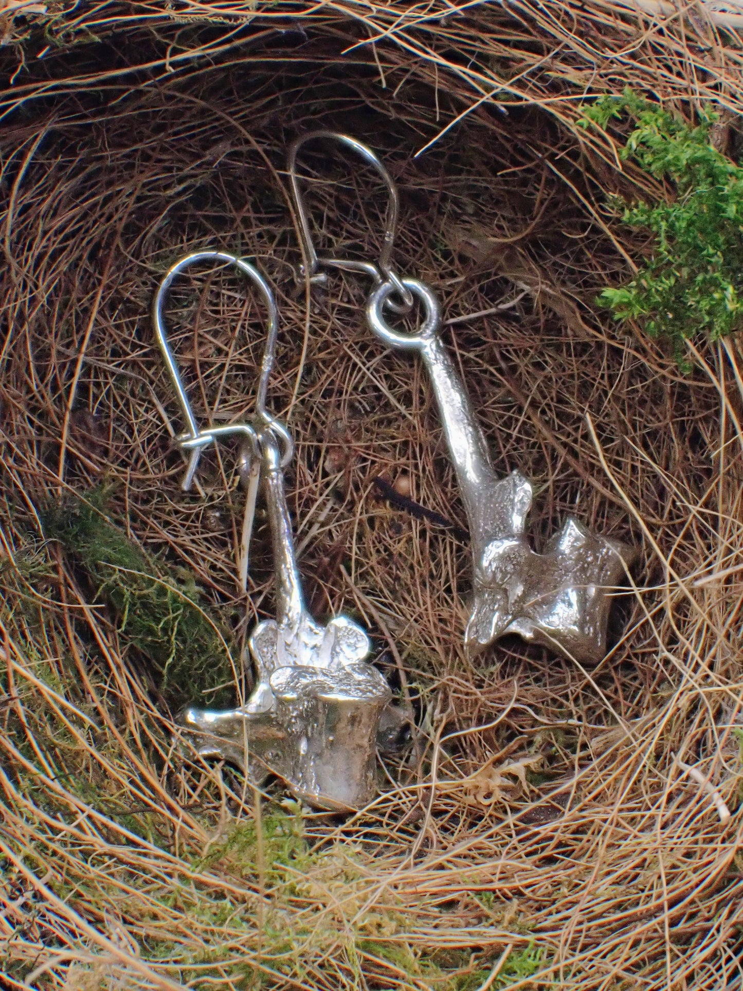 Silver Vertebra Earrings