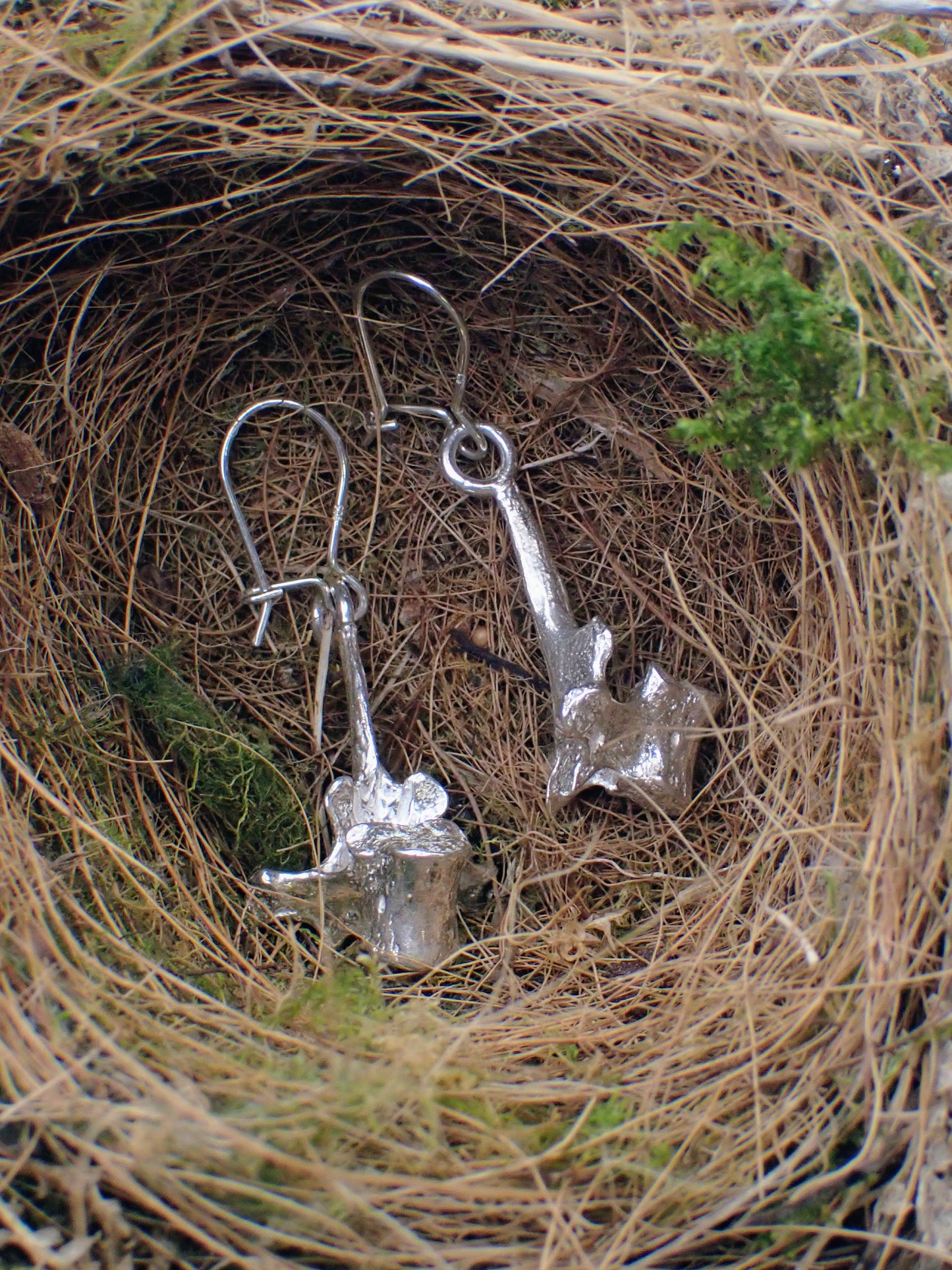 Silver Vertebra Earrings